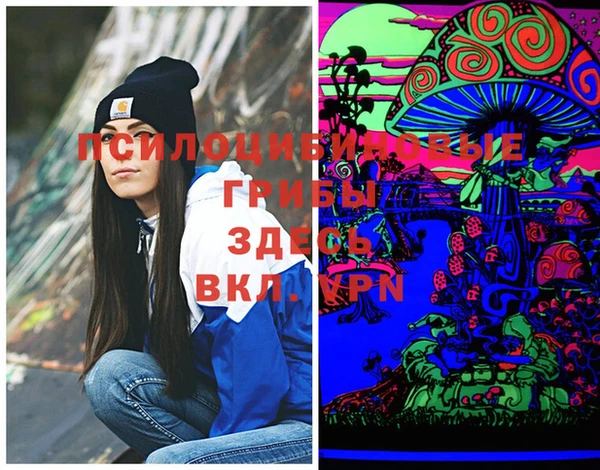 прущие грибы Белоозёрский
