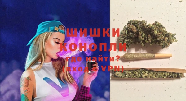 прущие грибы Белоозёрский