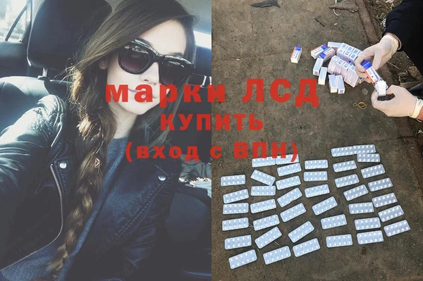 прущие грибы Белоозёрский